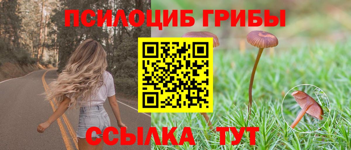 Россия  цены   Вход с VPN  Псилоцибиновые грибы Cubensis 