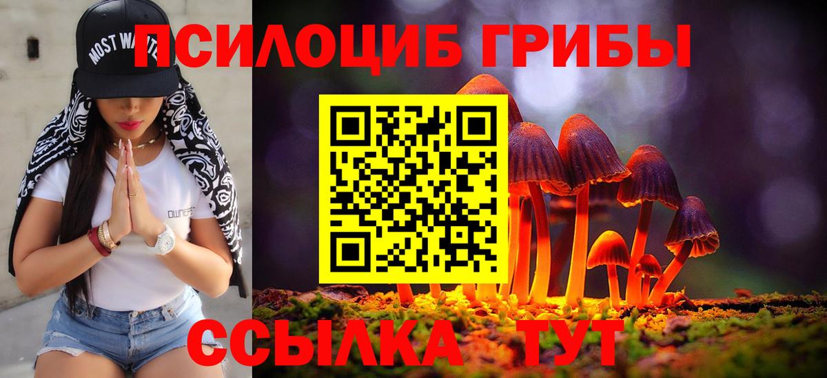 Псилоцибиновые грибы прущие грибы Россия